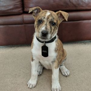 Meet your Posher, Ethan